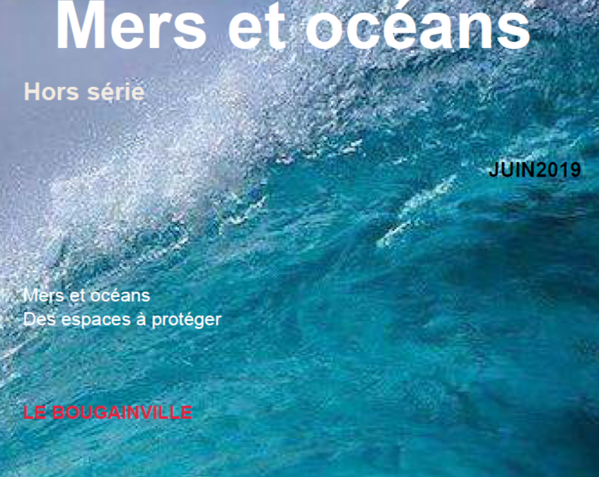 « Mers et océans, un monde maritimisé », Journal des élèves de 4D – Juin 2019