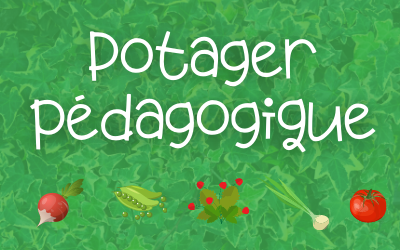 Potager pédagogique réalisé par des élèves