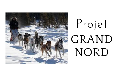 Projet Grand Nord…la presse en parle