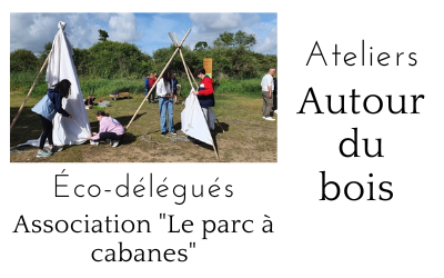 Les éco-délégués à la Pierre-Aigue – ateliers autour du bois
