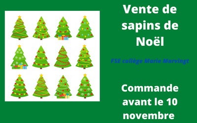 Vente de sapins de noël