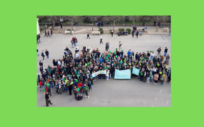 Le collège Marie Marvingt passe au vert